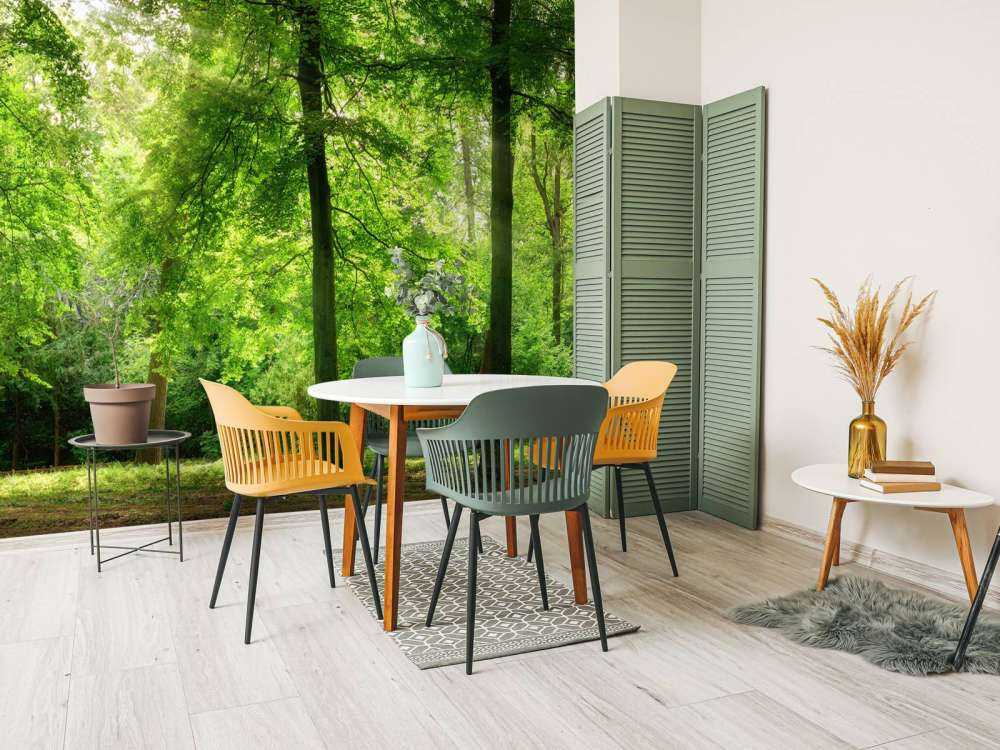 Forest with light mist