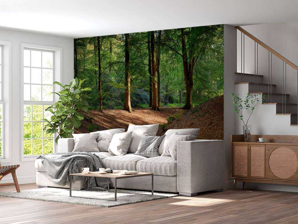 Brooklet in the forest 