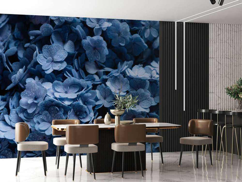 Close-up hydrangeas