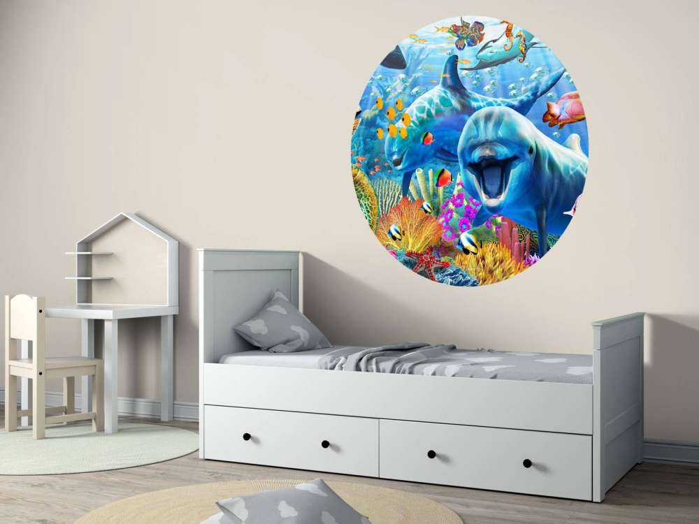 Underwater Fun Panorama