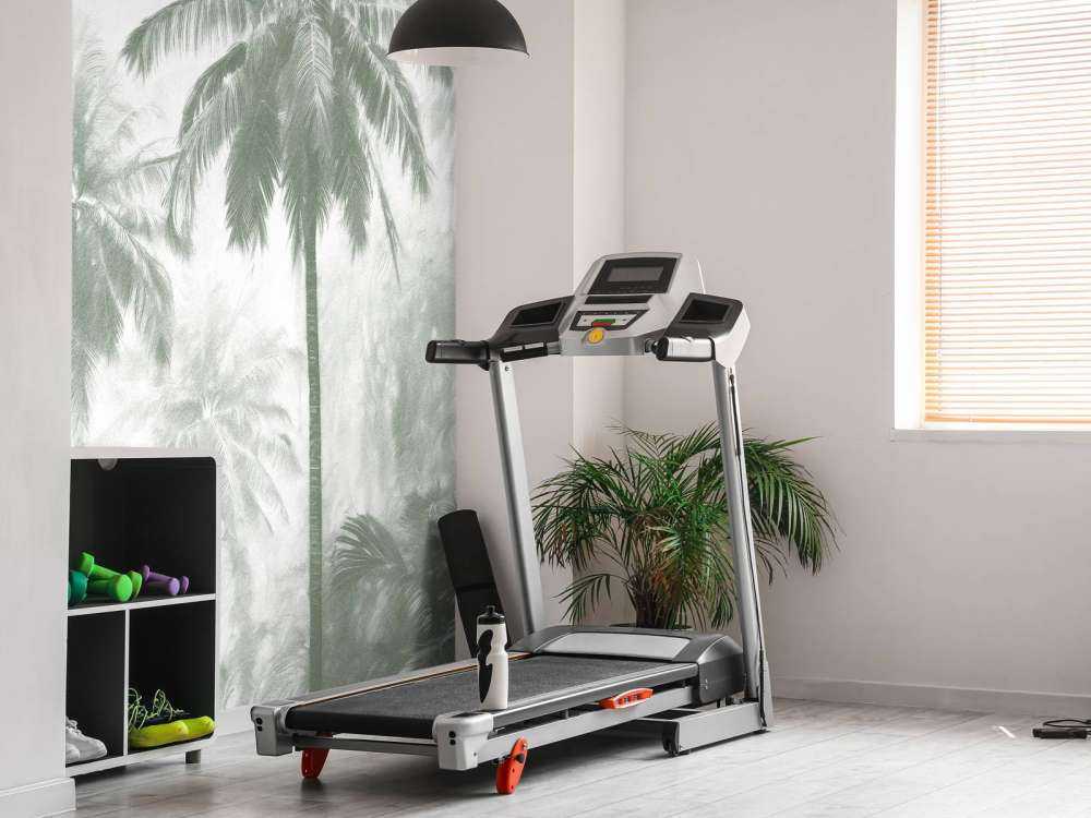 Misty Palm Forest, green