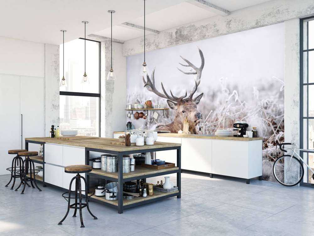 Red Deer's Winter Dream