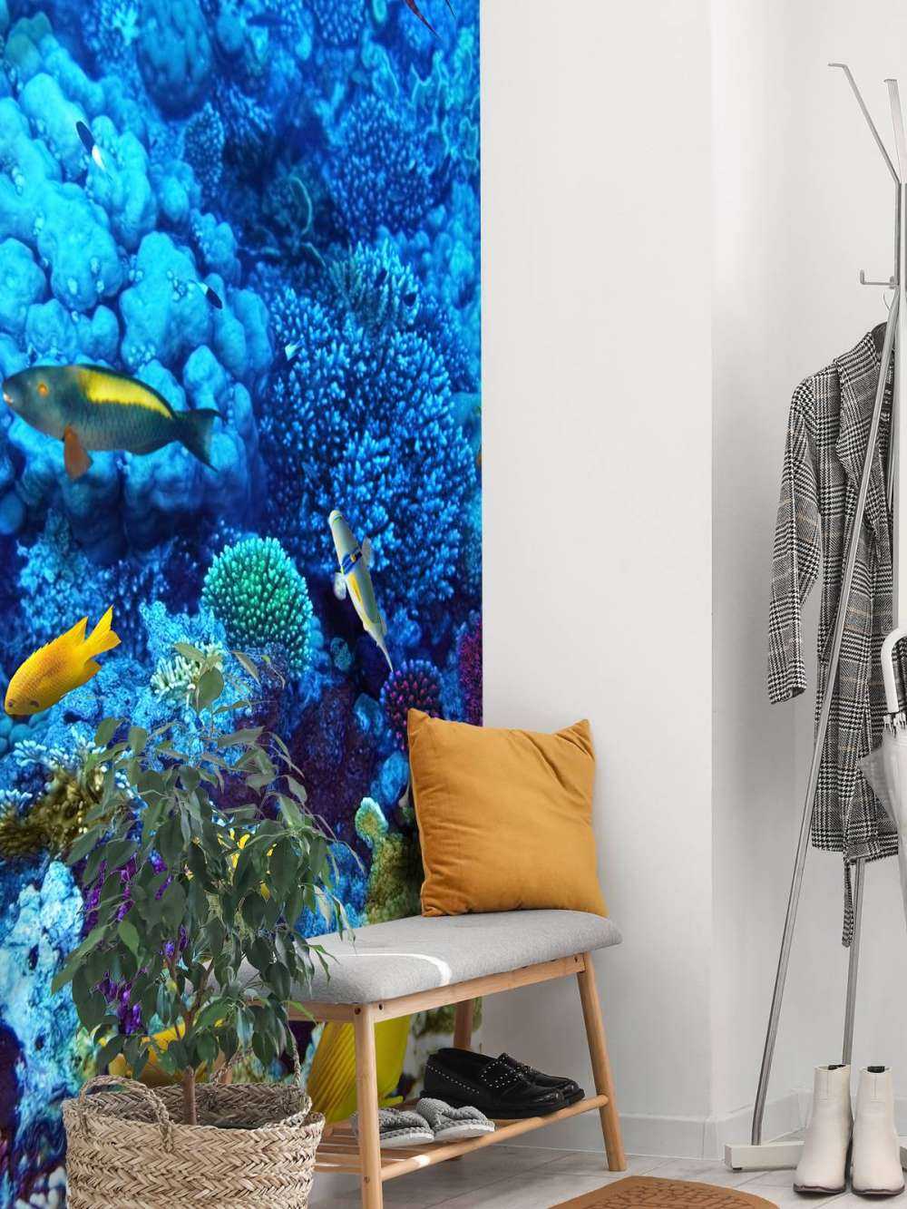 Fish and coral