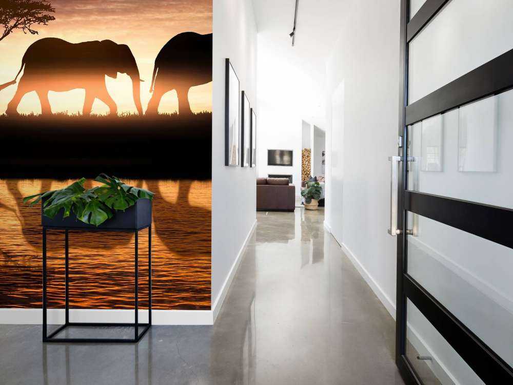 Elephants in savannah