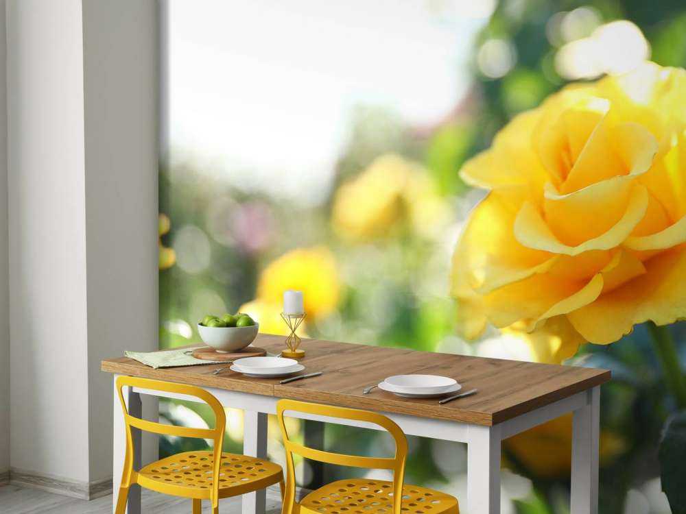 Yellow roses