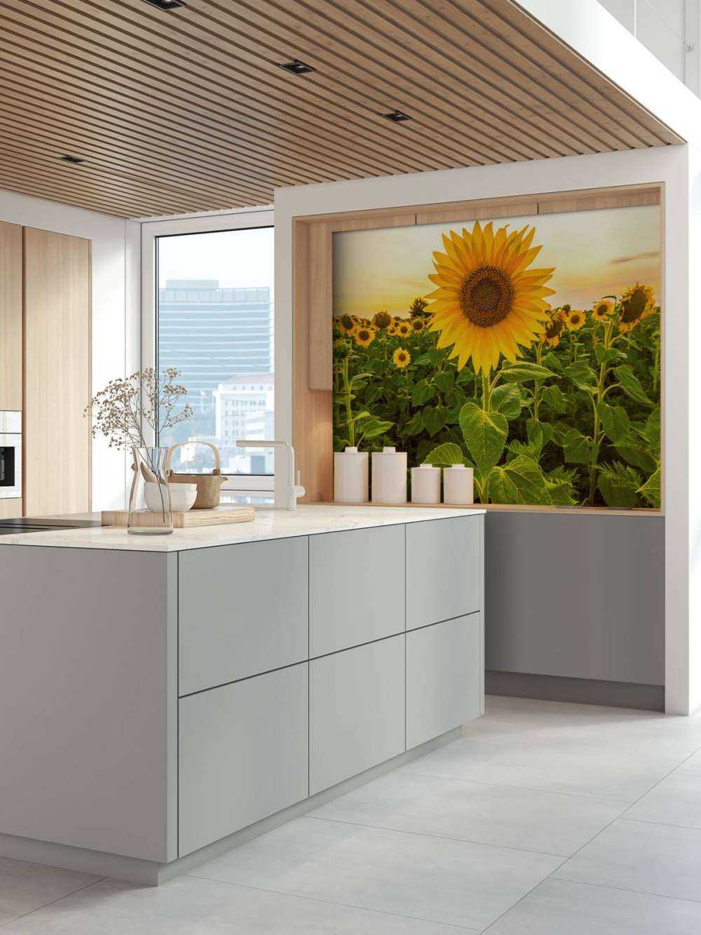 Sunflower in the field