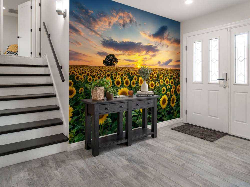 Field full of sunflowers