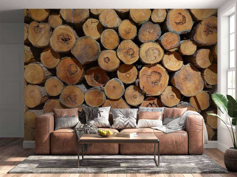 Pile of tree trunks