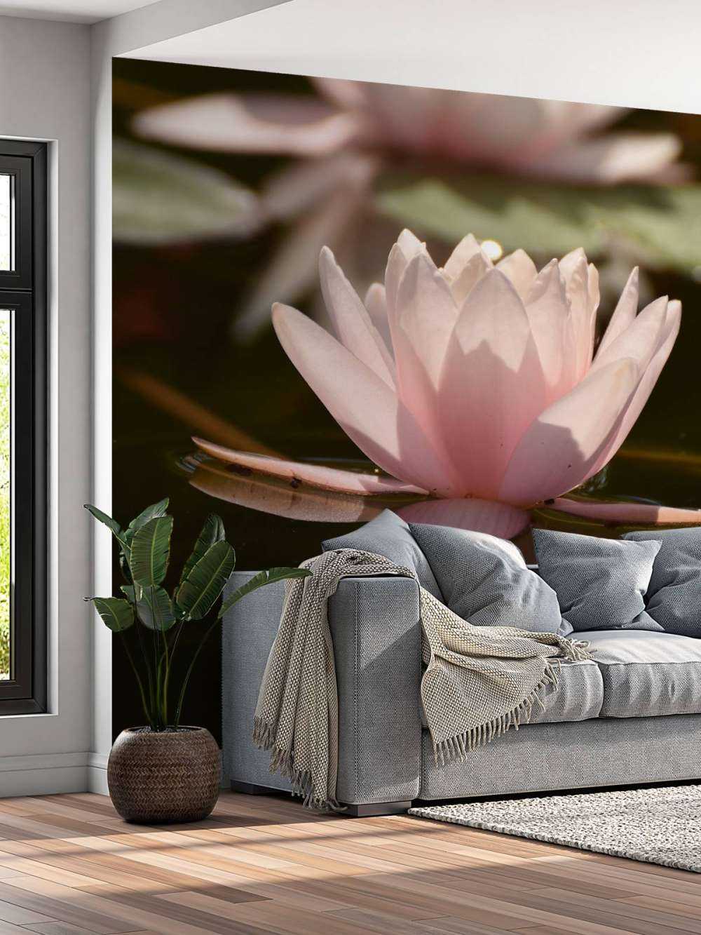 Lotus flower in water