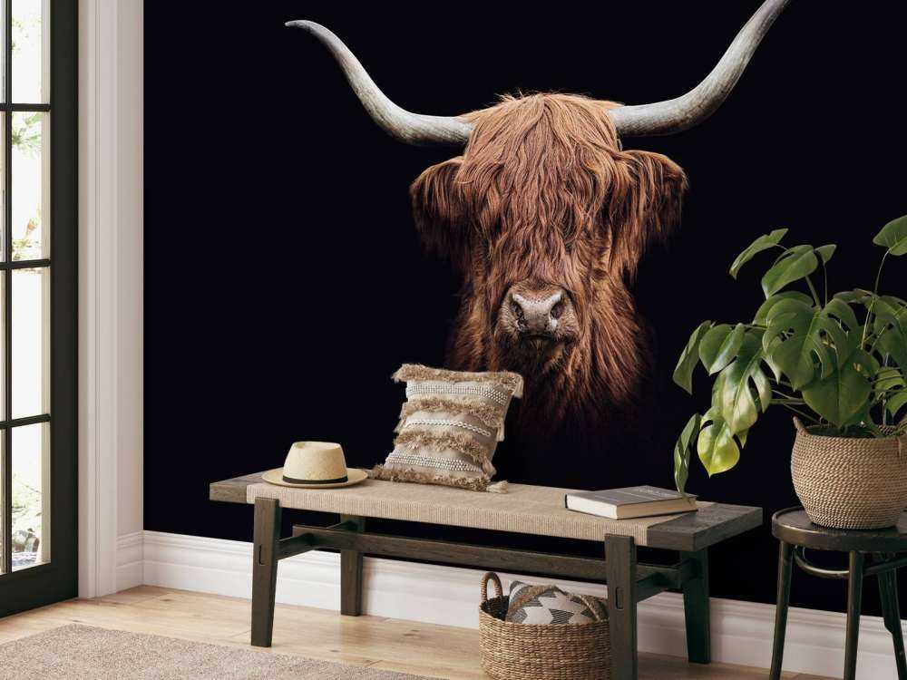 Vintage Scottish Highlander