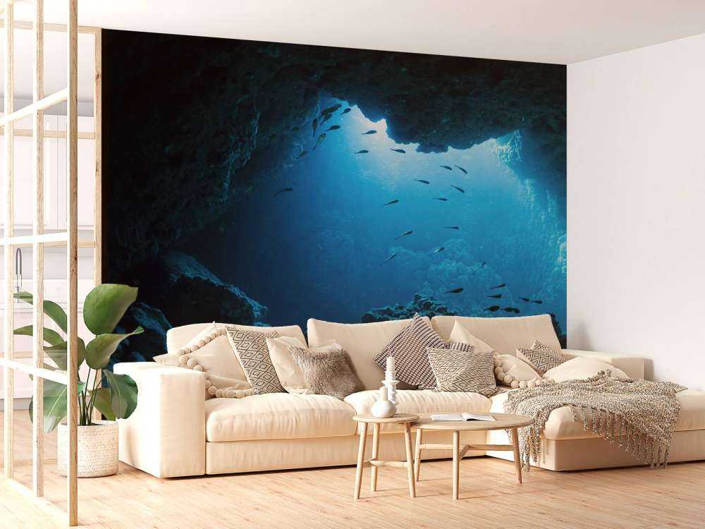 Underwater cave with fish