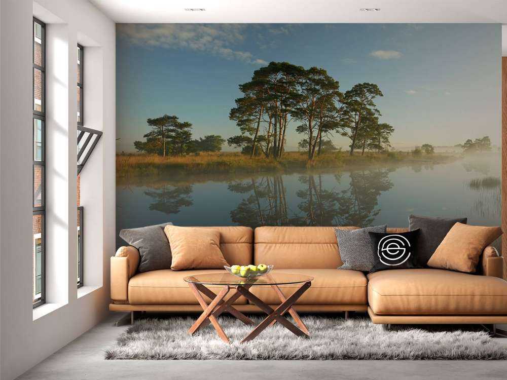 Reflection in moorland