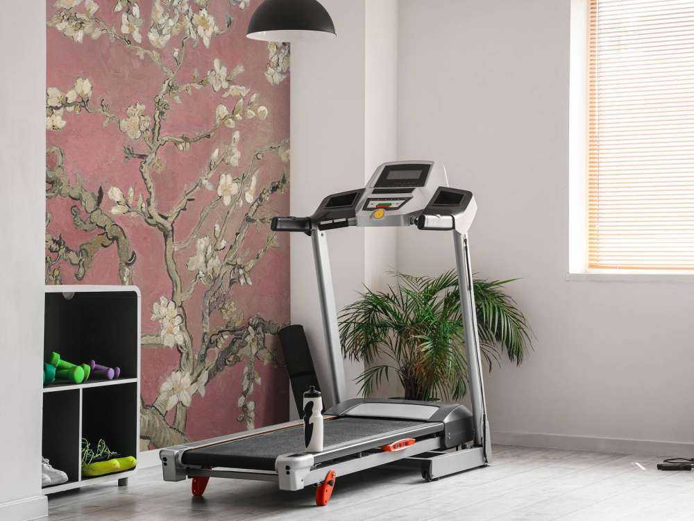 Colourful Almond Blossom