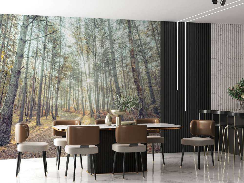 Path through sunny forest