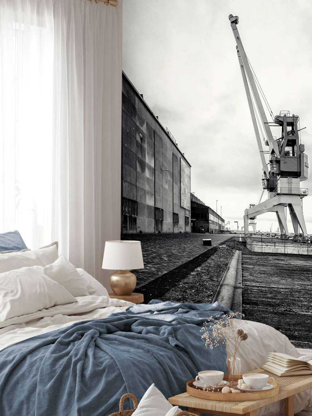 Harbour crane on the former RDM site Heijplaat Rotterdam 