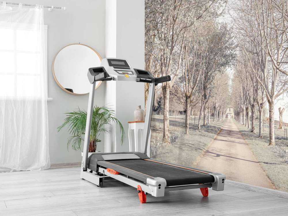 Path between the trees