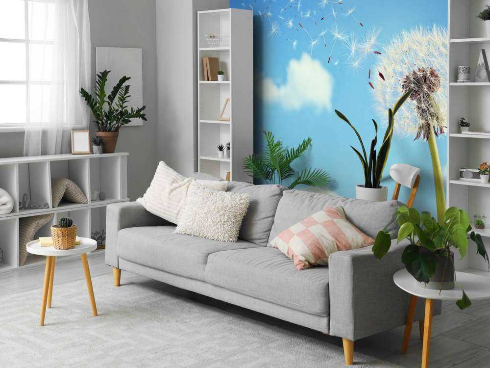 Flying dandelion seeds