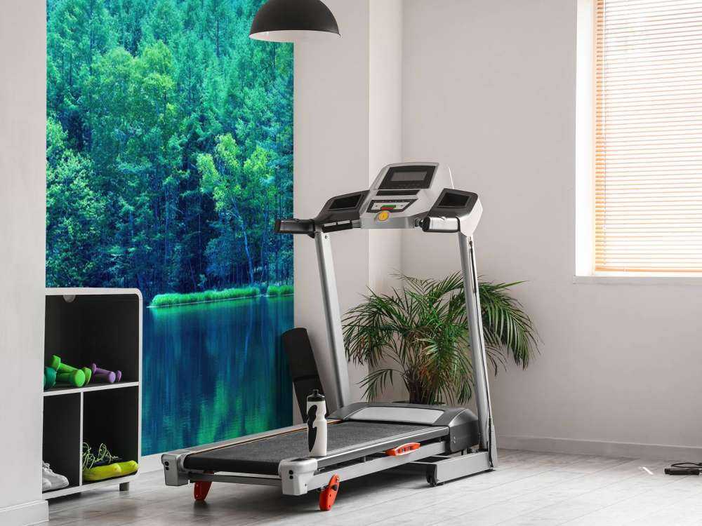 Lake in the green forest