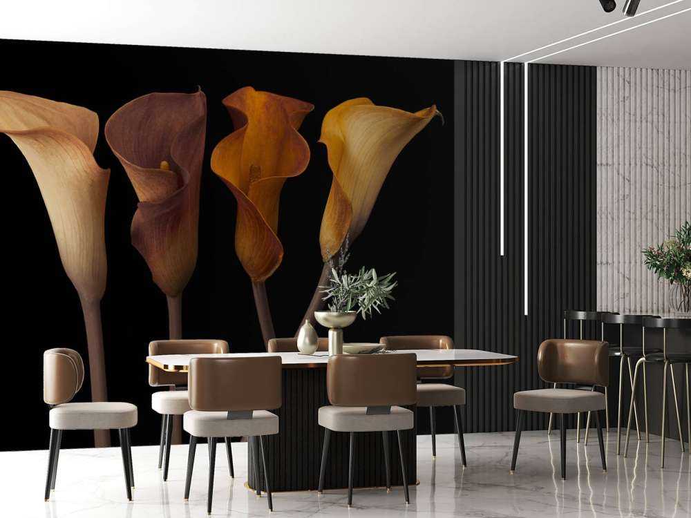 Calla Lilies
