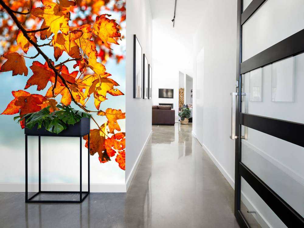 Autumn leaves