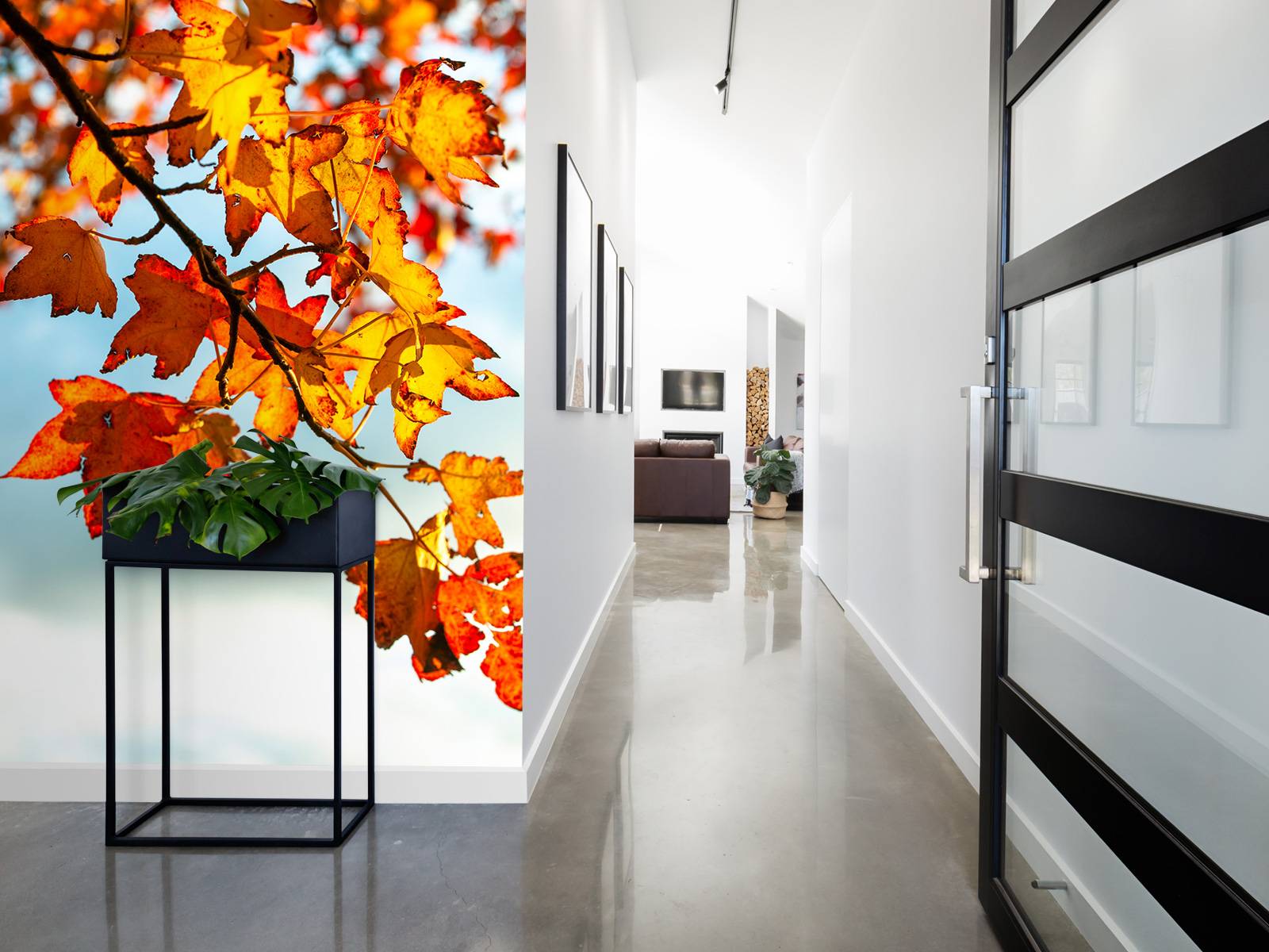 Autumn leaves