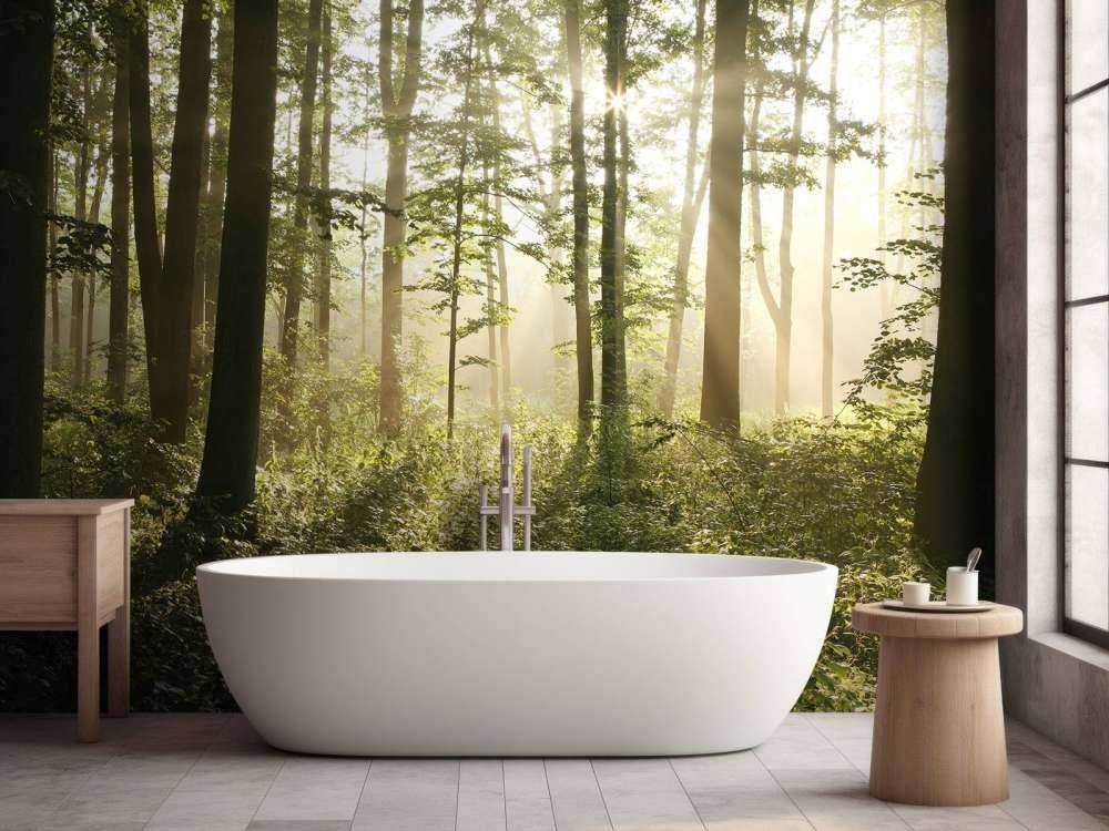 Foggy deciduous forest