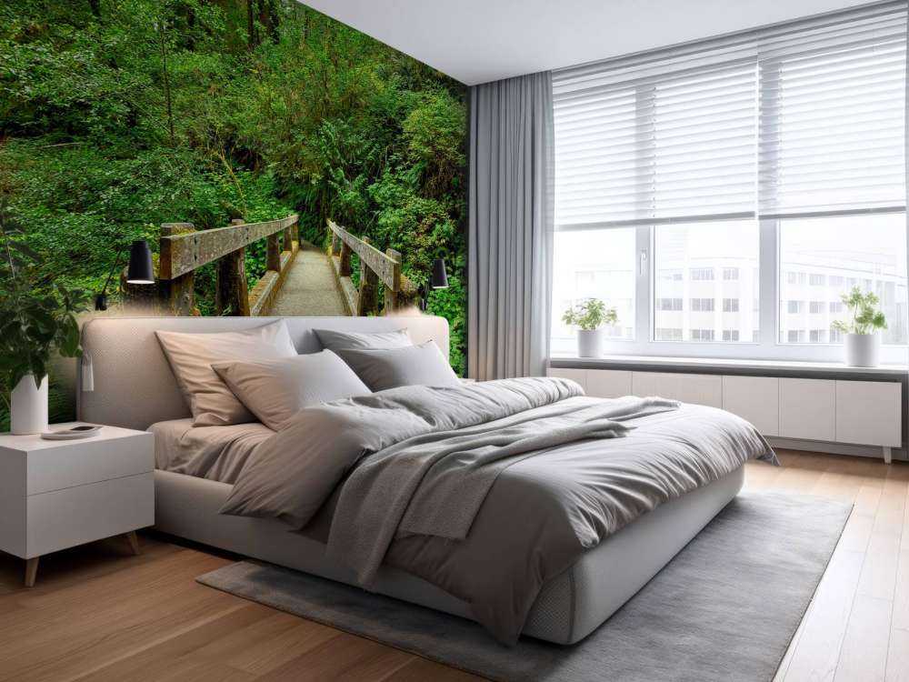 Bridge in the forest