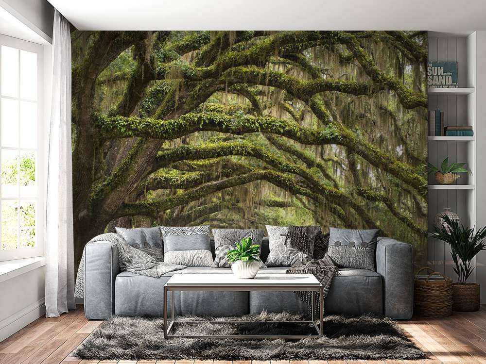 Oak trees