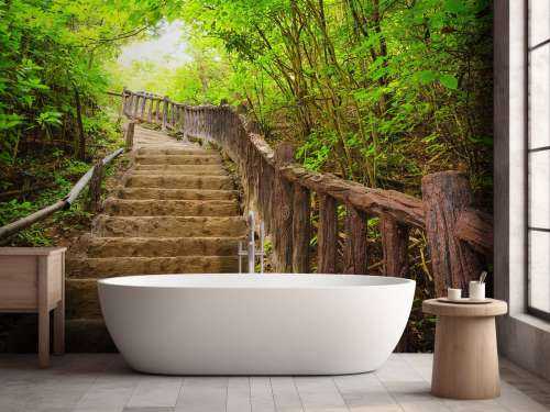 Stairs in a forest