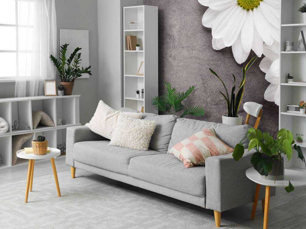 Daisies and concrete