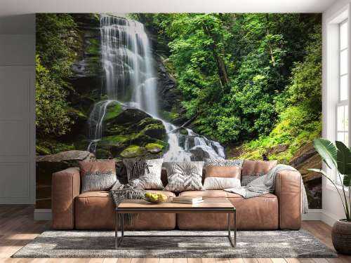 Jungle waterfall