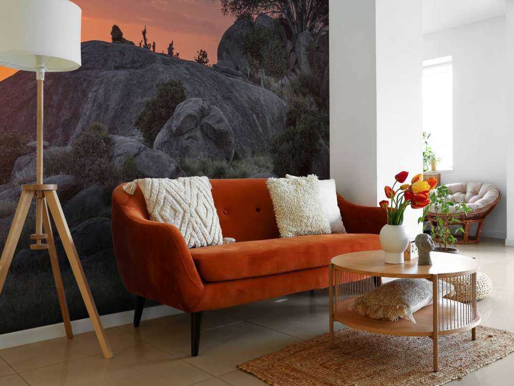 Sunset over the savannah