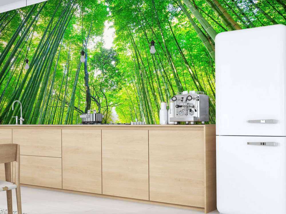 Bamboo forest of Arashiyama