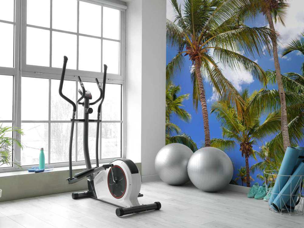 Coconut palm trees