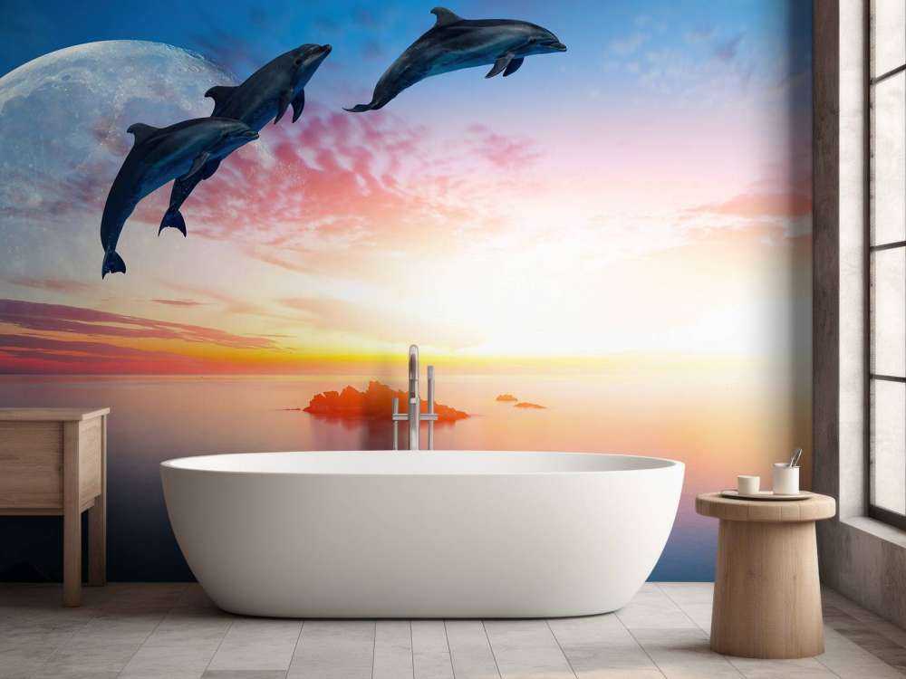 Dolphins in the night