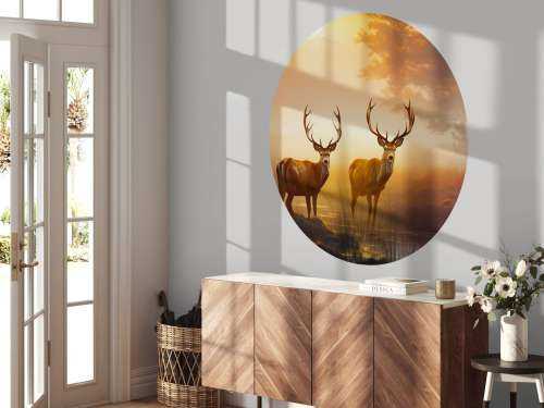 Morning Glory Deer Splendor