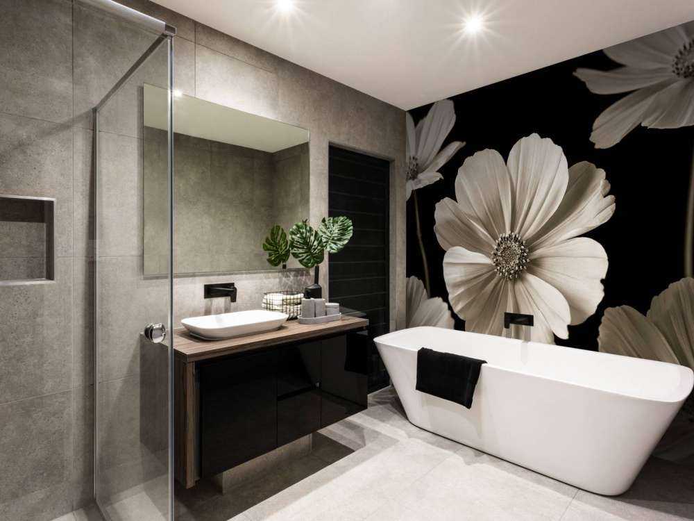 Multiple Cosmos flower