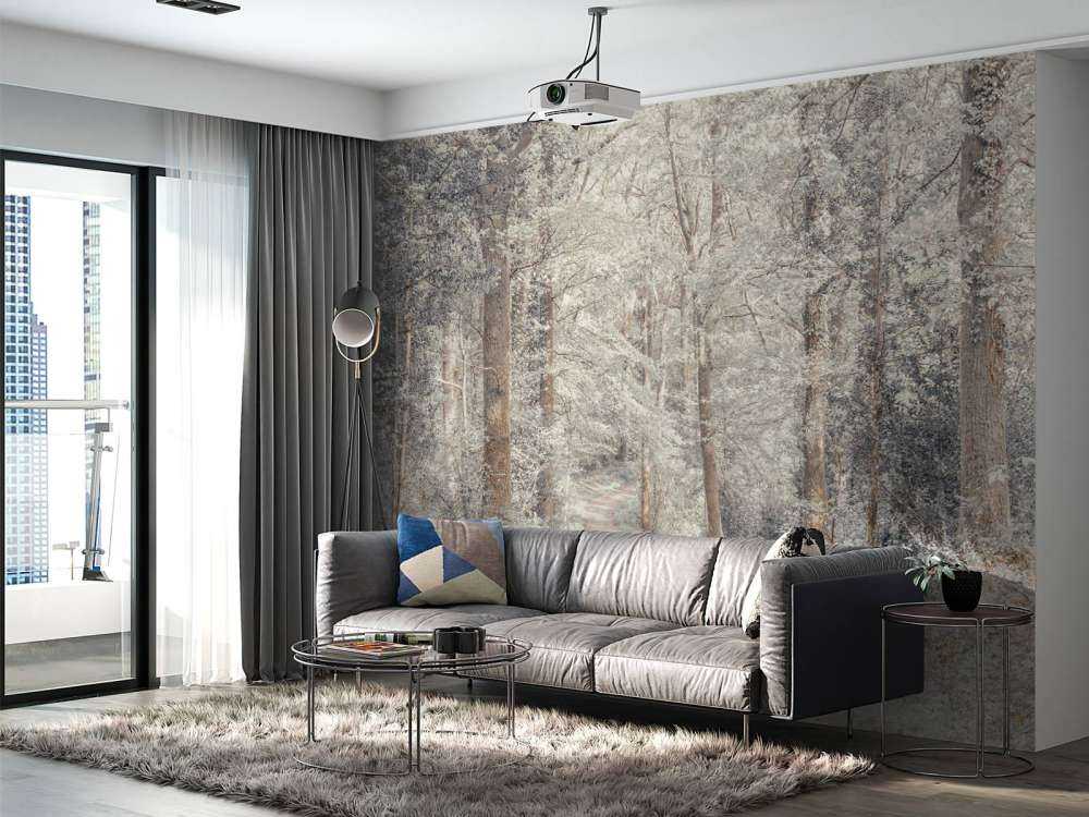 A path through a green forest