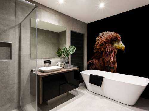 Roman Hawk