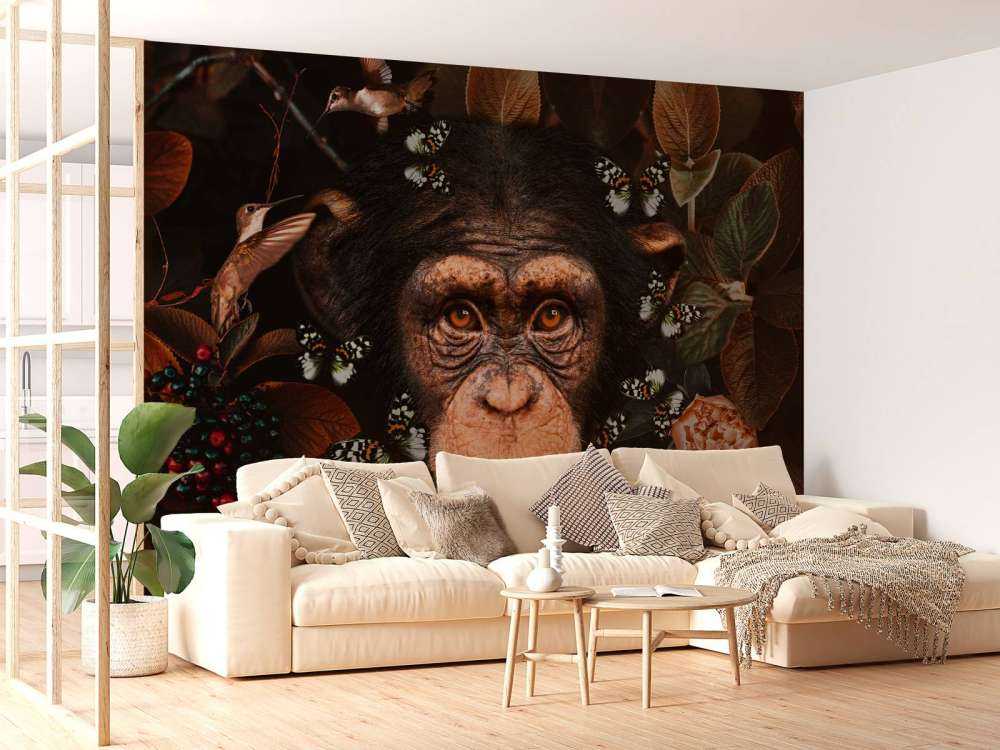 Tropical Chimpanzee
