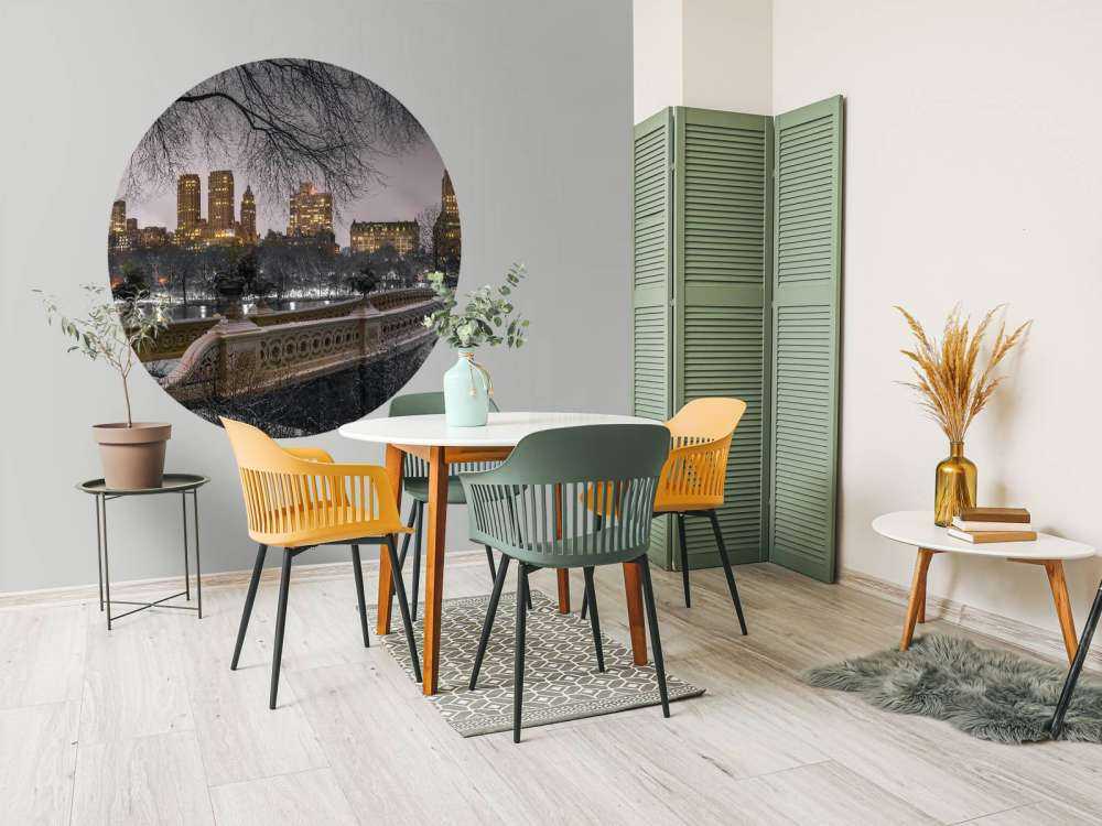 Central park and Manhattan