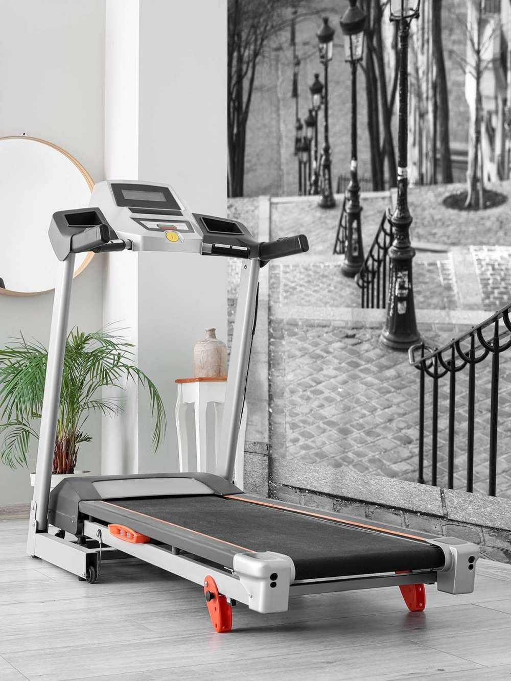 The famous stairs in Montmartre