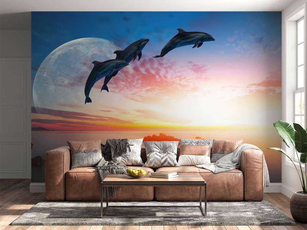 Dolphins in the night