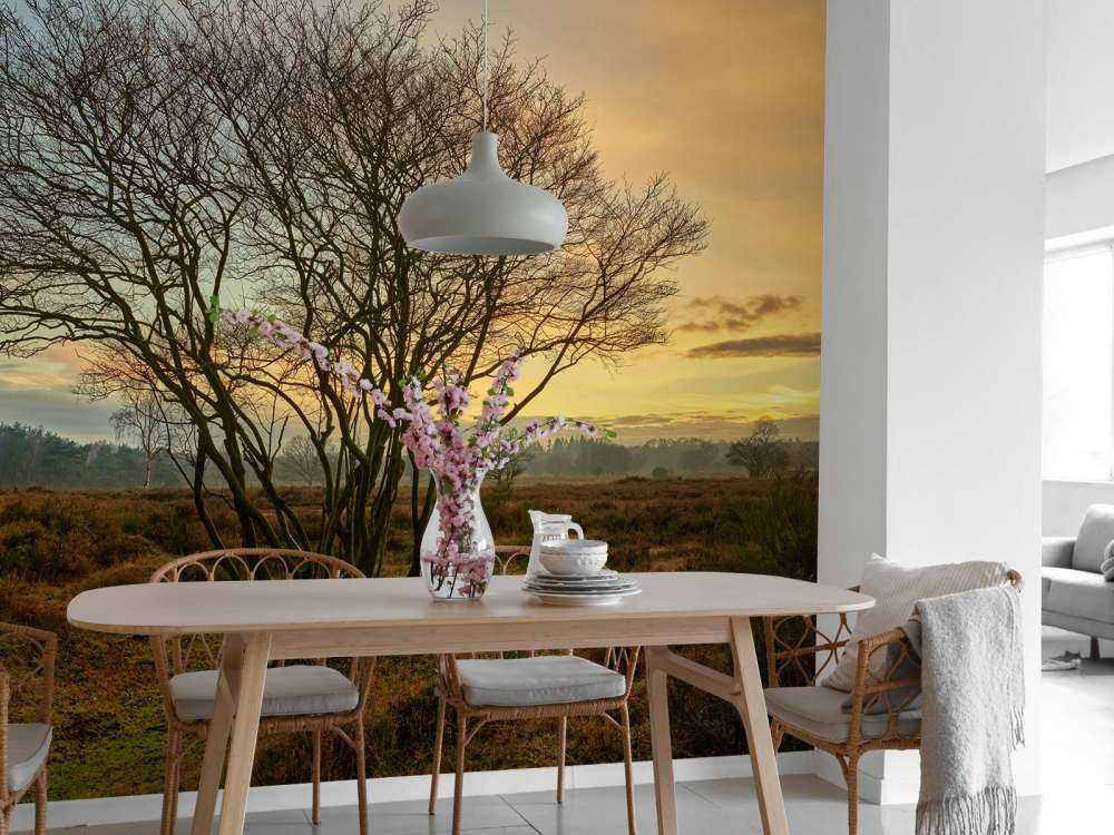 Sunrise on the heath