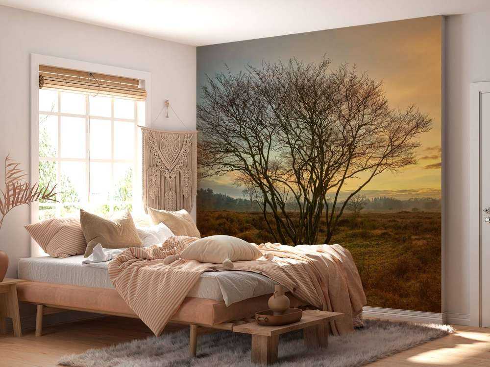 Sunrise on the heath