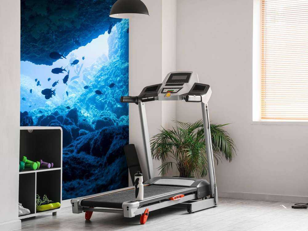 Narrow cave with fish