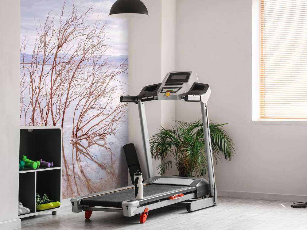 Branches in the Dead Sea