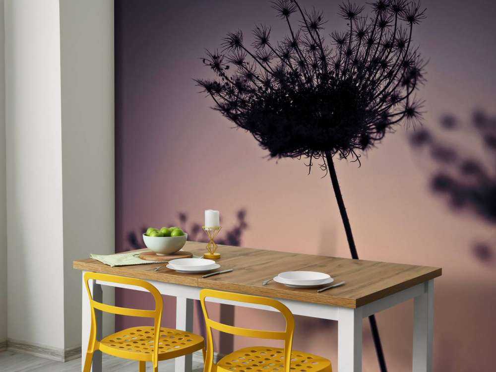 Silhouette of flowers