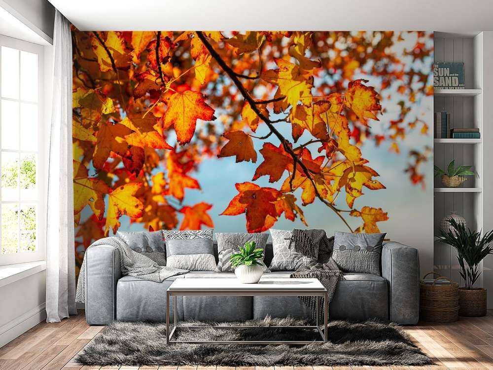 Autumn leaves