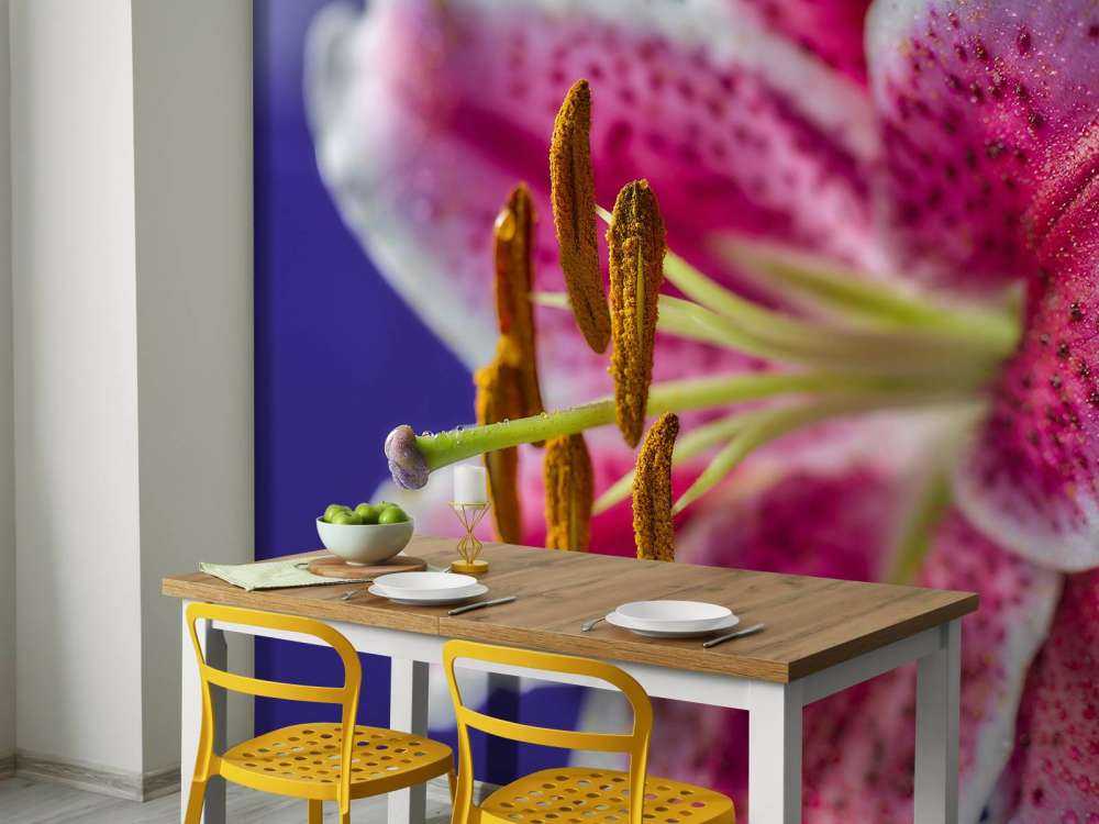 Close-up pink flower